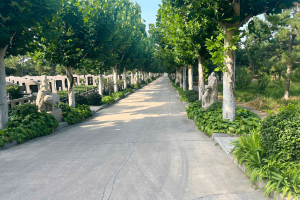 灵山宝塔陵园景观图