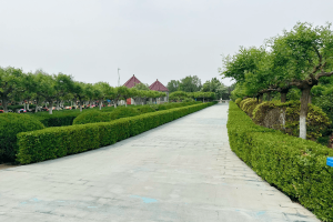 思亲园陵园景观图