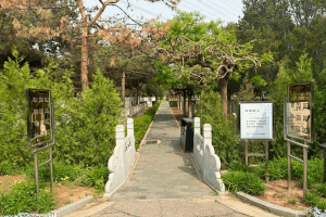 朝阳陵园景观图