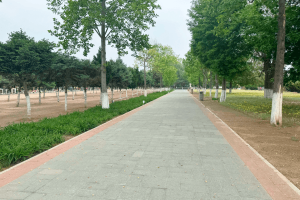 思亲园陵园景观图