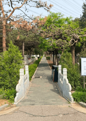 朝阳陵园环境图
