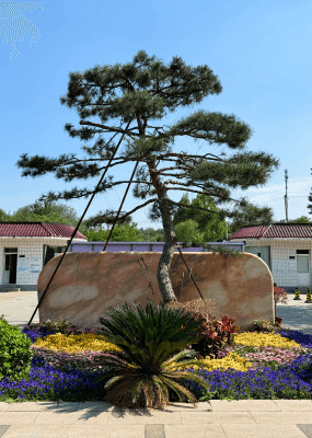 太子峪陵园环境图