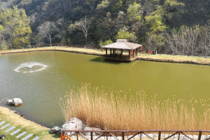 九公山长城纪念林景观图