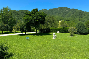 凤凰山陵园景观图