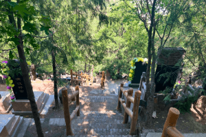金山陵园景观图