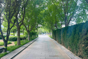 万安公墓景观图