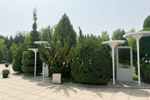 长青园骨灰林景观图
