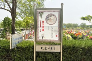 北京市大兴区天堂公墓园区环境图
