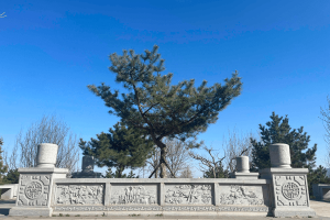 长安园公墓景观图