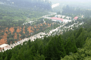 惠灵山陵园景观图