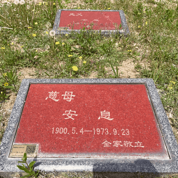 长青园骨灰林卧碑