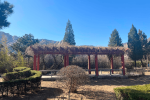 长安园公墓景观图