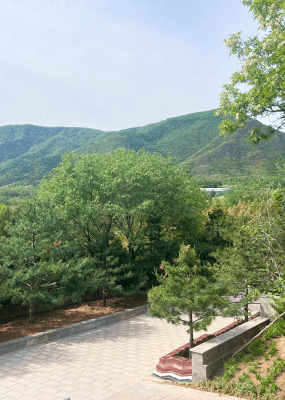 温泉墓园环境图