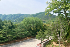 温泉墓园景观图