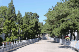八宝山革命公墓景观图
