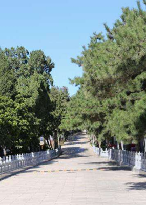 八宝山革命公墓环境图