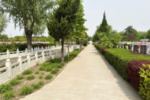 北京市大兴区天堂公墓墓区环境图