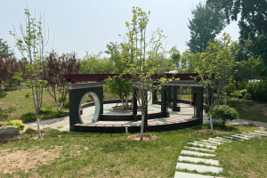 长青园骨灰林景观图