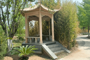 长青园骨灰林景观图