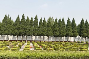 北京市大兴区天堂公墓墓区环境图