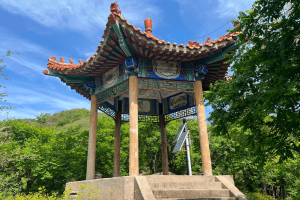 温泉墓园景观图