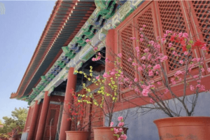 西静园公墓景观图