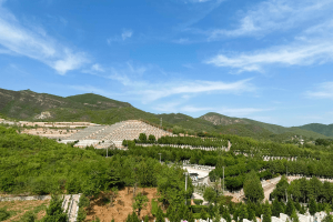 炎黄陵园景观图