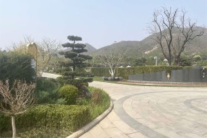 北京市昌平区天寿陵园园区环境图