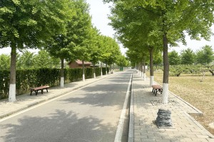 北京市大兴区天慈墓园墓区环境图